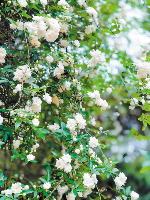 50021774387798247 50021774387798247