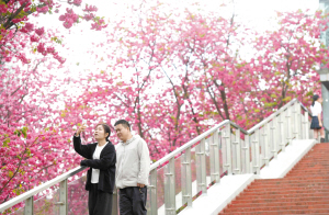 微信图片_2026-03-29_102819_819 微信图片_2026-03-29_102819_819