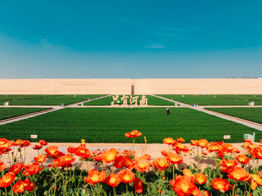 景区内的麦田广场。只有河南·戏剧幻城景区供图