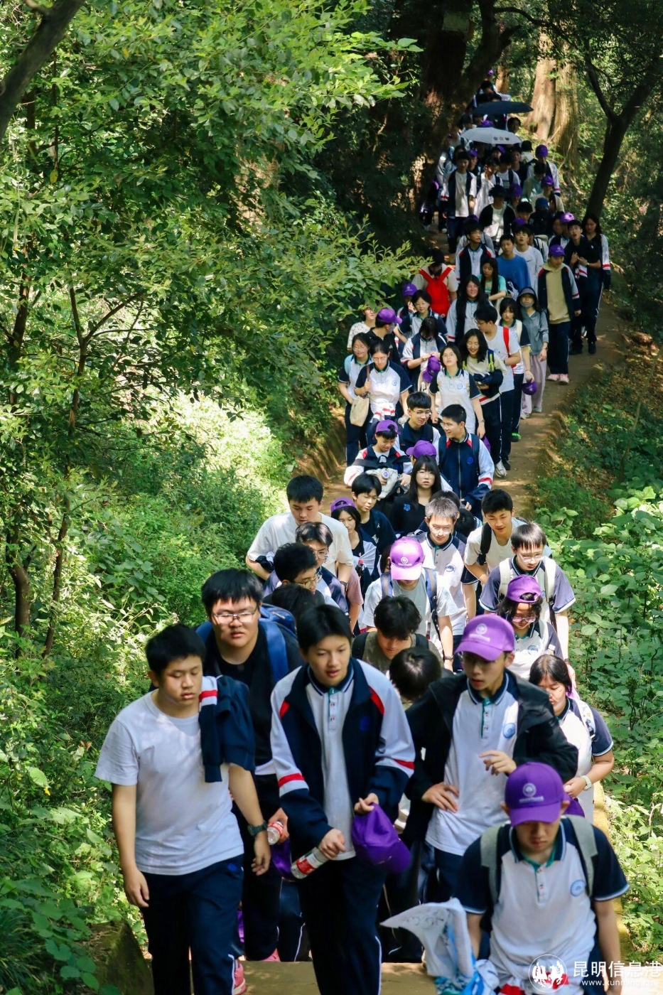 df818771ea33be38ff8b0816137e4f23 df818771ea33be38ff8b0816137e4f23