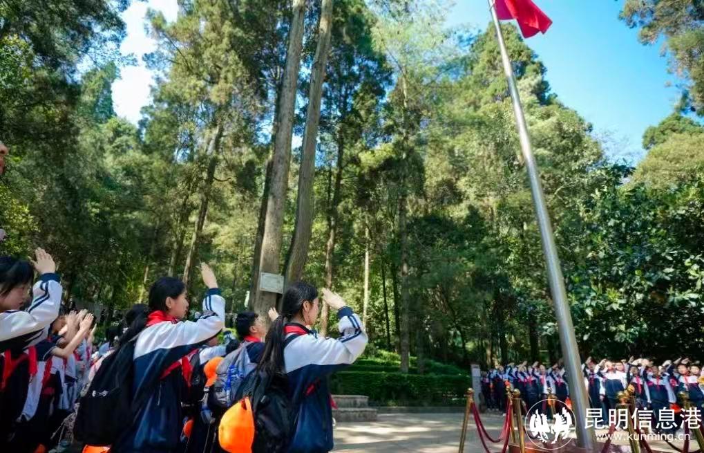 5531775301507_ 5531775301507_