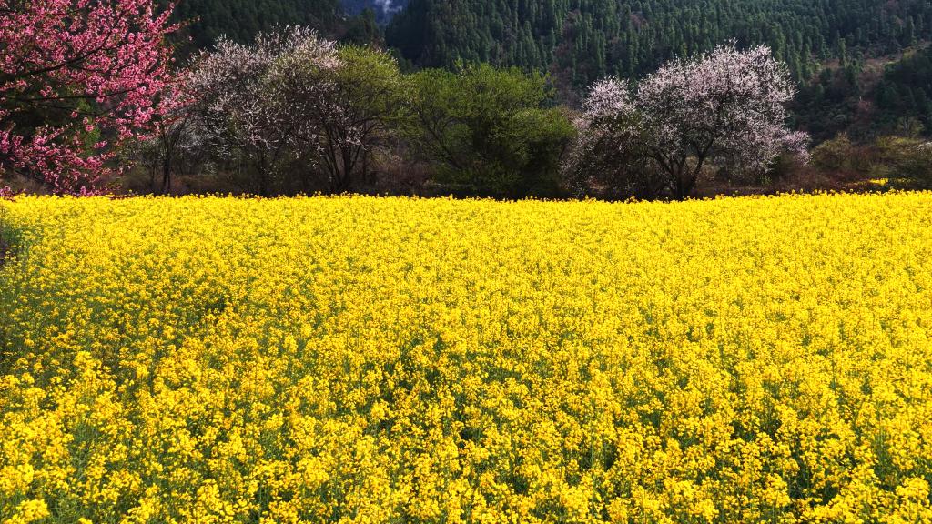 20260410b7208c253e6e48db8cbf72bf6a88e2e4_b926a812ca484b9abee6d5c5f8985bd2