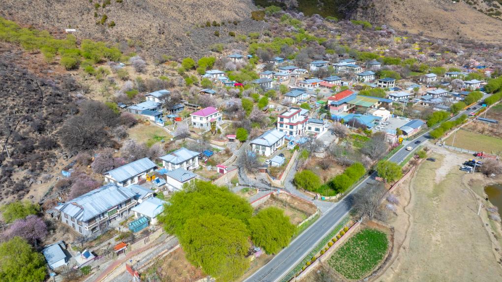 20260410b7208c253e6e48db8cbf72bf6a88e2e4_52be57471c0a48a6b862f369a6250ccf