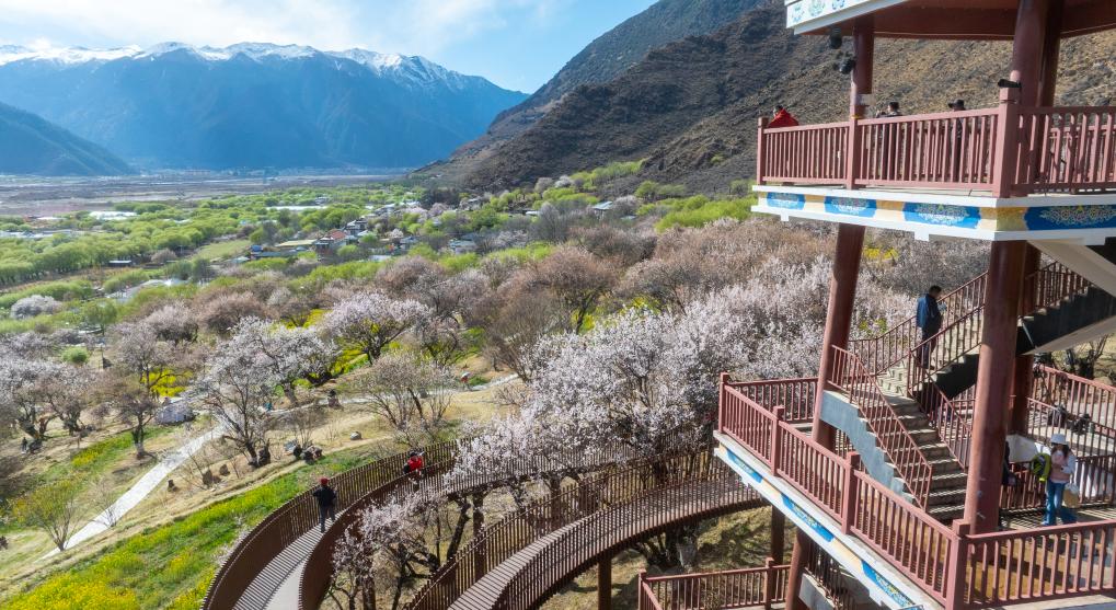 20260410b7208c253e6e48db8cbf72bf6a88e2e4_b1c9a849c7ee40fe8962846c69cc74eb