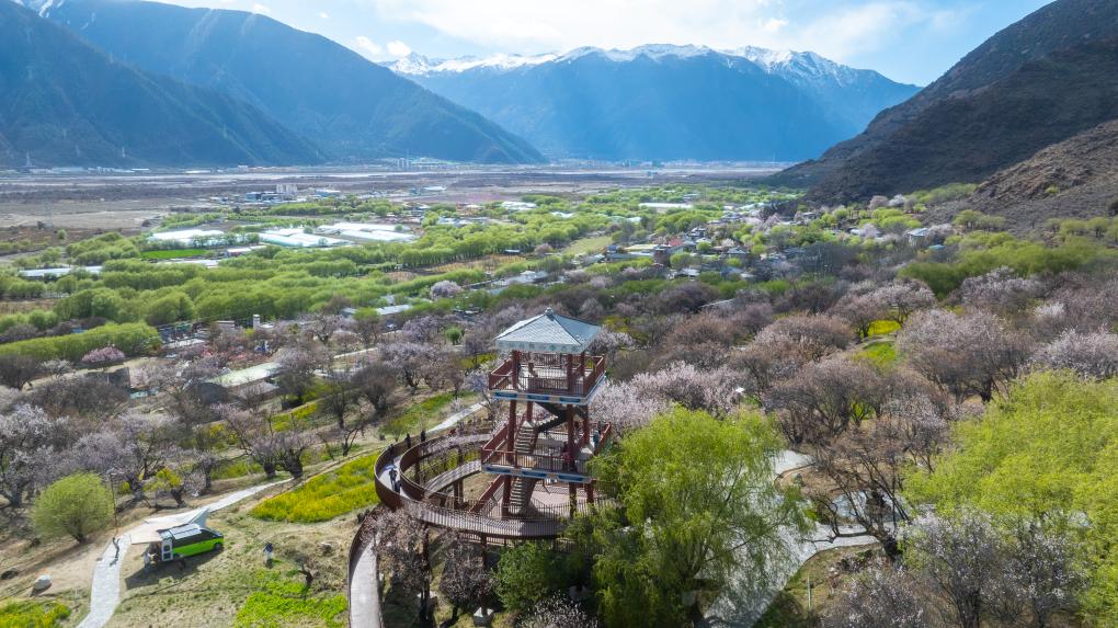 20260410b7208c253e6e48db8cbf72bf6a88e2e4_d28e9480c71745f0a8aaf73a421f7284