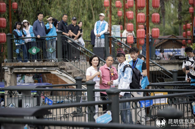 图片15