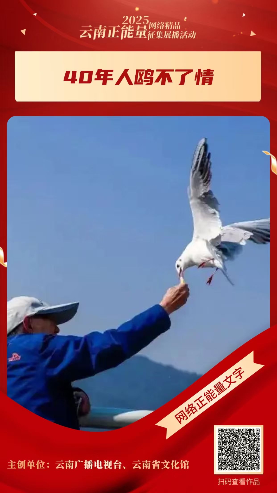 8.40年人鸥不了情