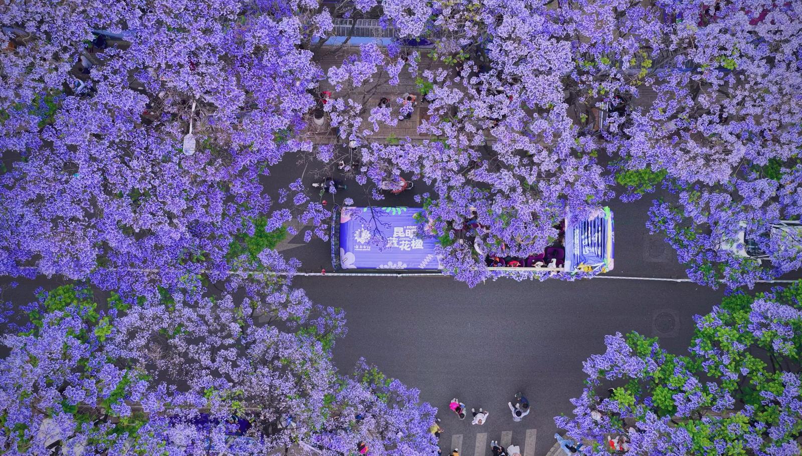 教场中路 教场中路.jpg
