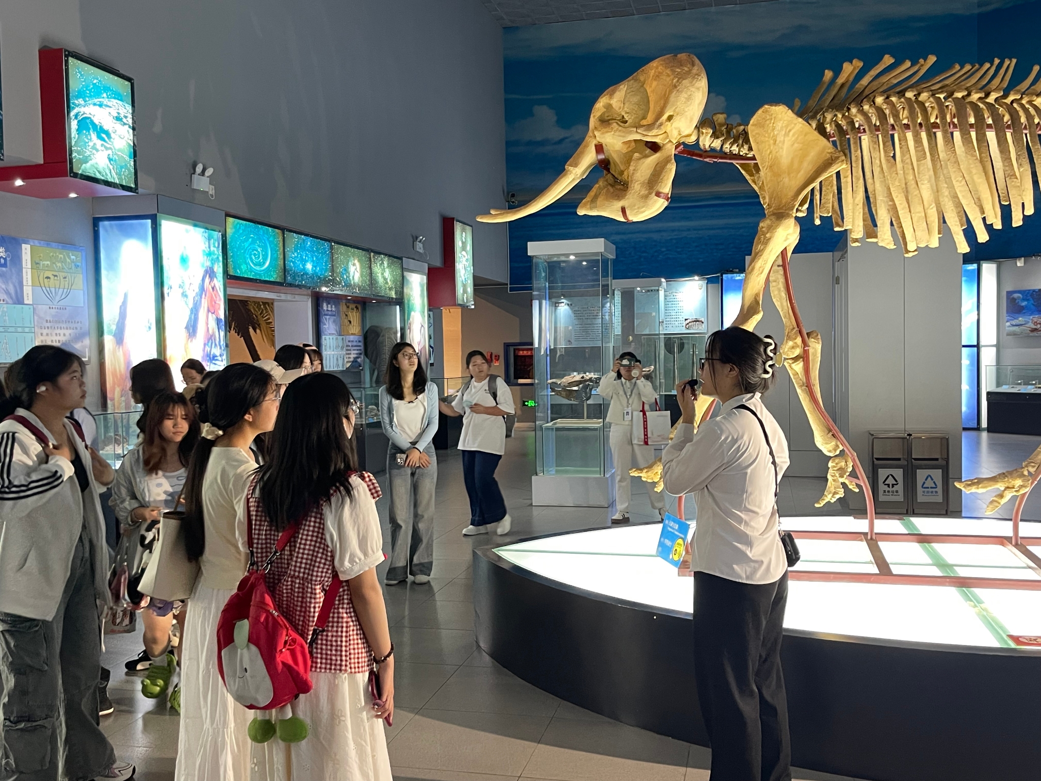 学生参观古生物厅