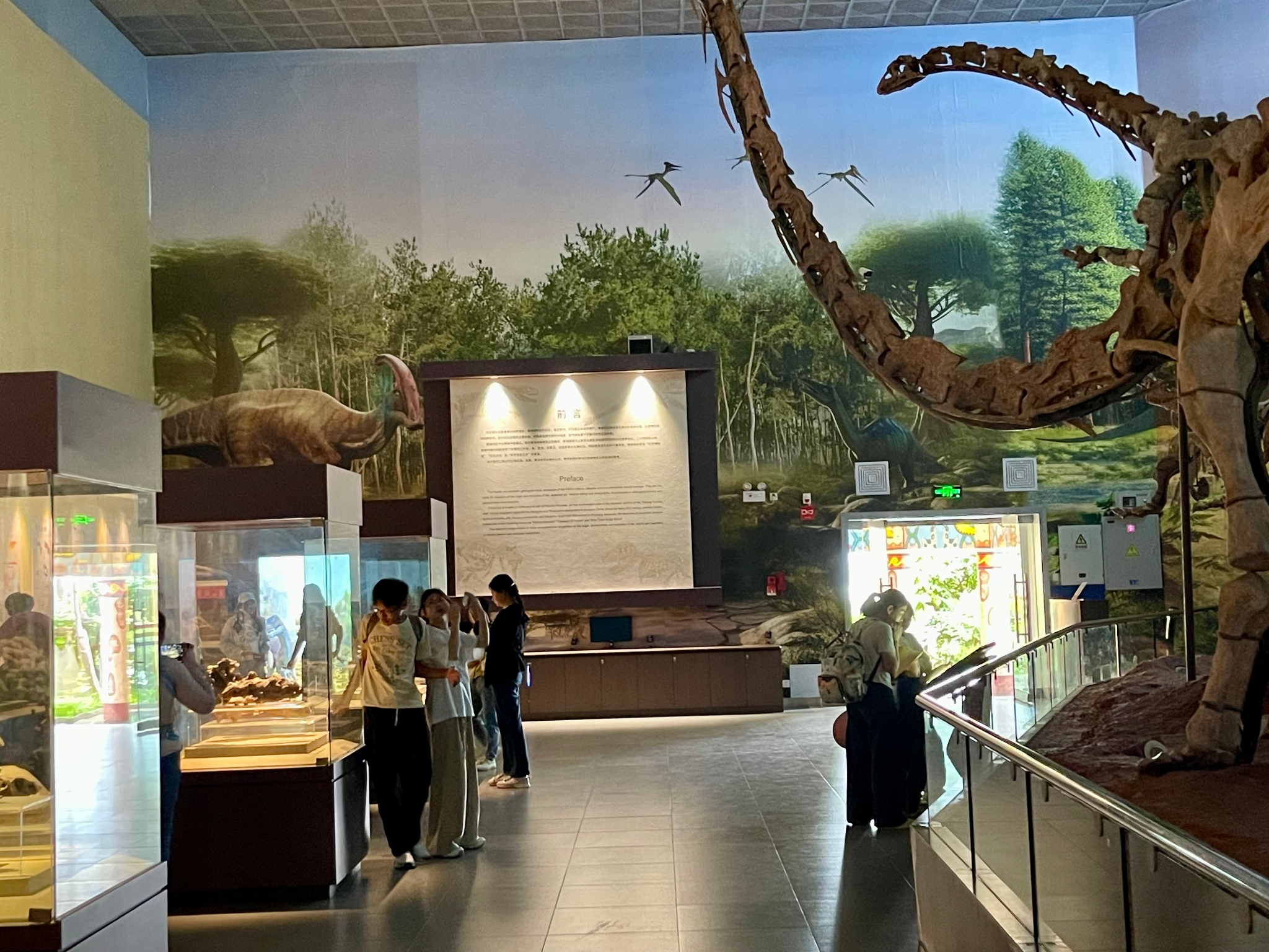 学生在古生物厅参观