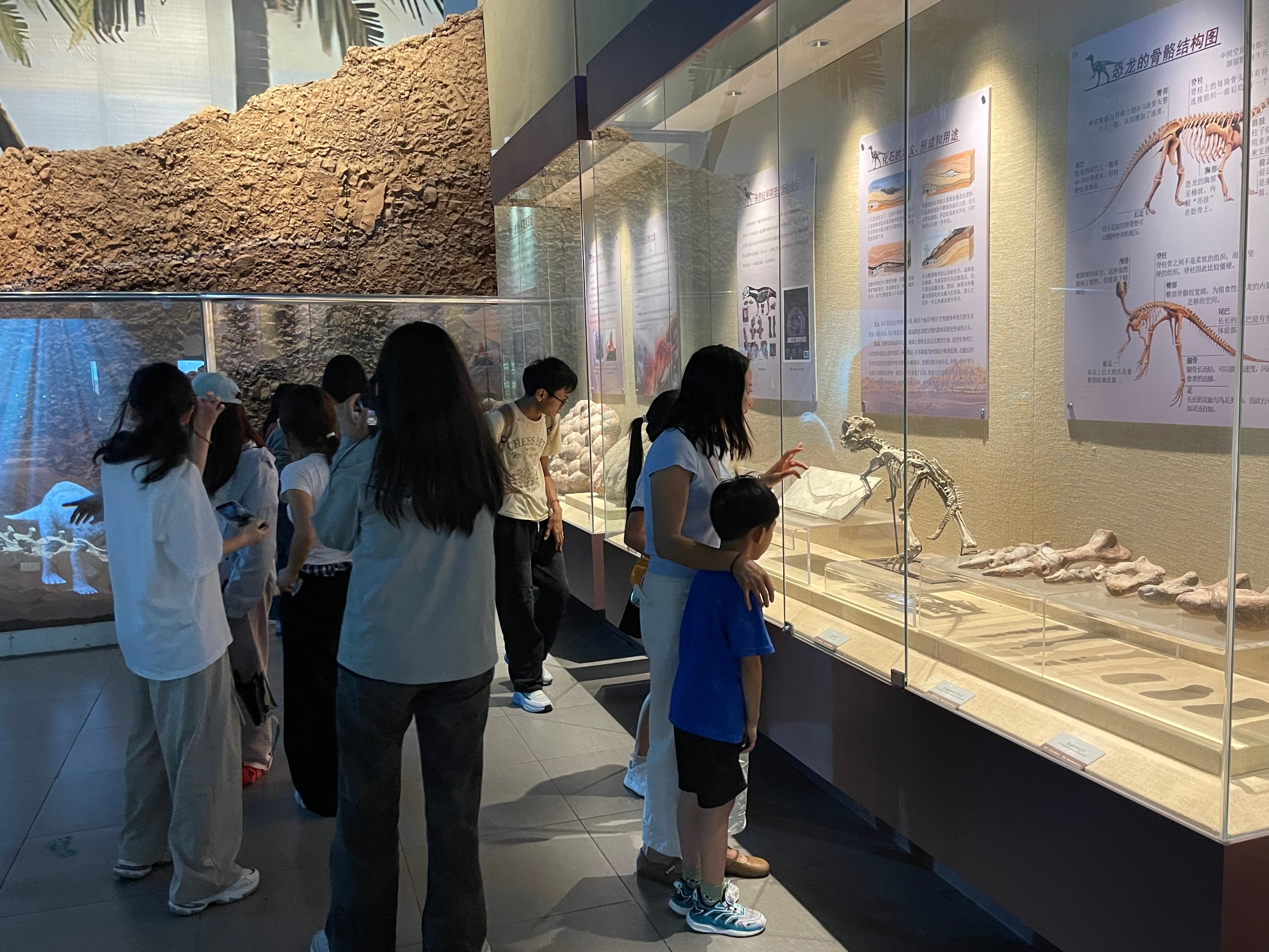 学生和游客参观古生物厅