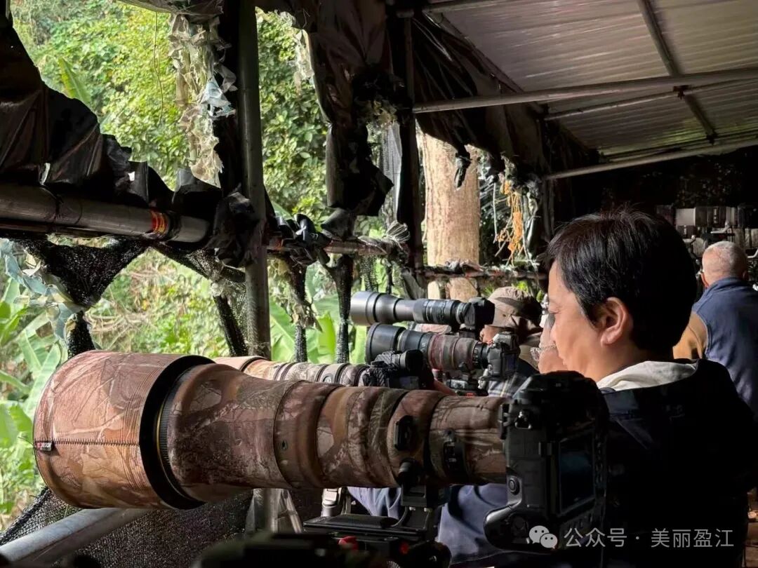 标准化鸟类观测点。