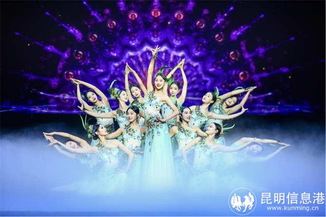 图片14 图片14