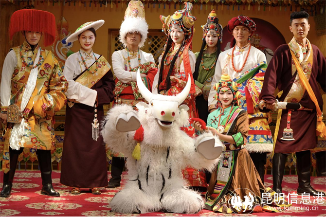 图片15 图片15