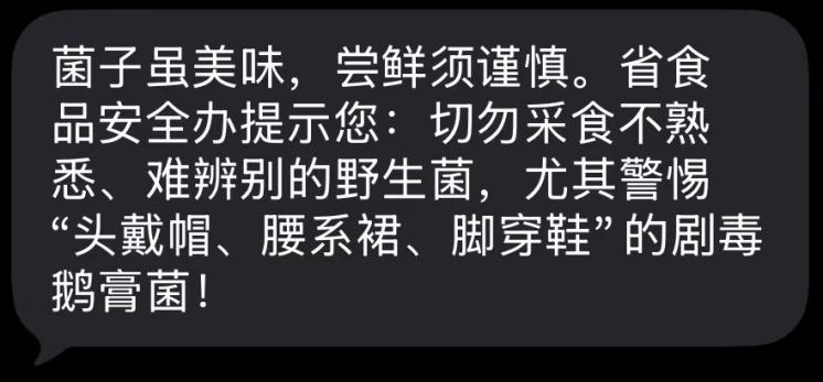 图片 1 图片 1