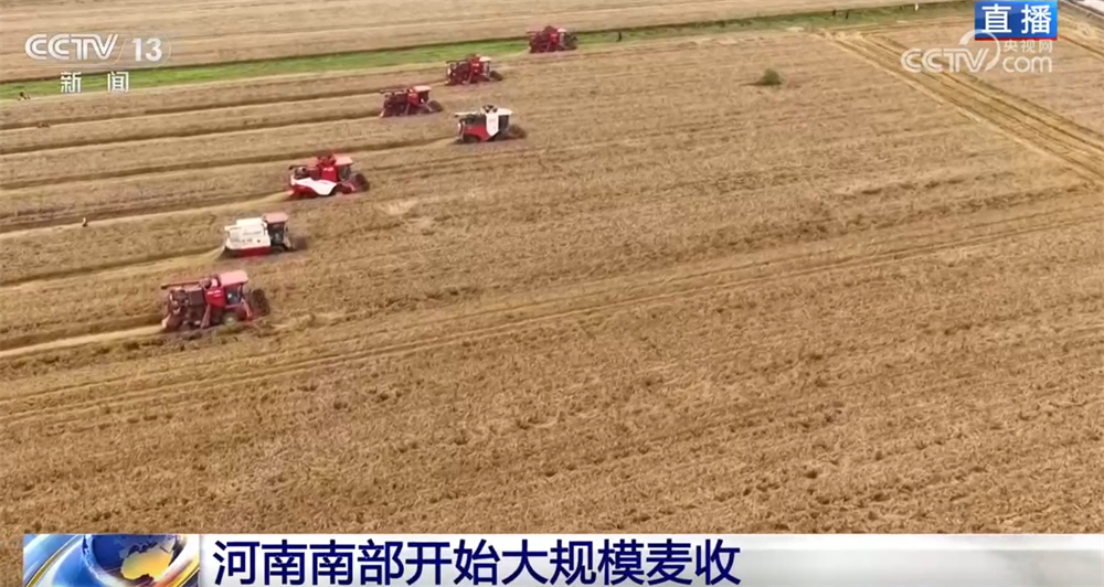 从“三夏”麦收地图看全国大规模小麦机收“时刻表” 多举措减损助丰收