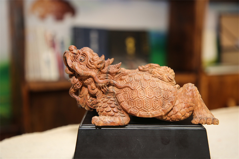 作品《龙龟》尹永权 摄.JPG
