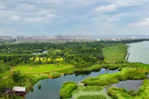 宝丰湿地公园。周密摄 (1).JPG