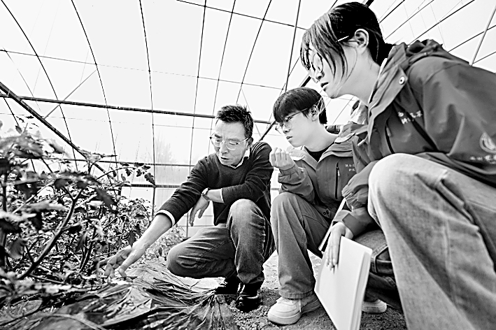 深化教育教学改革 提升高校引领产业发展能力