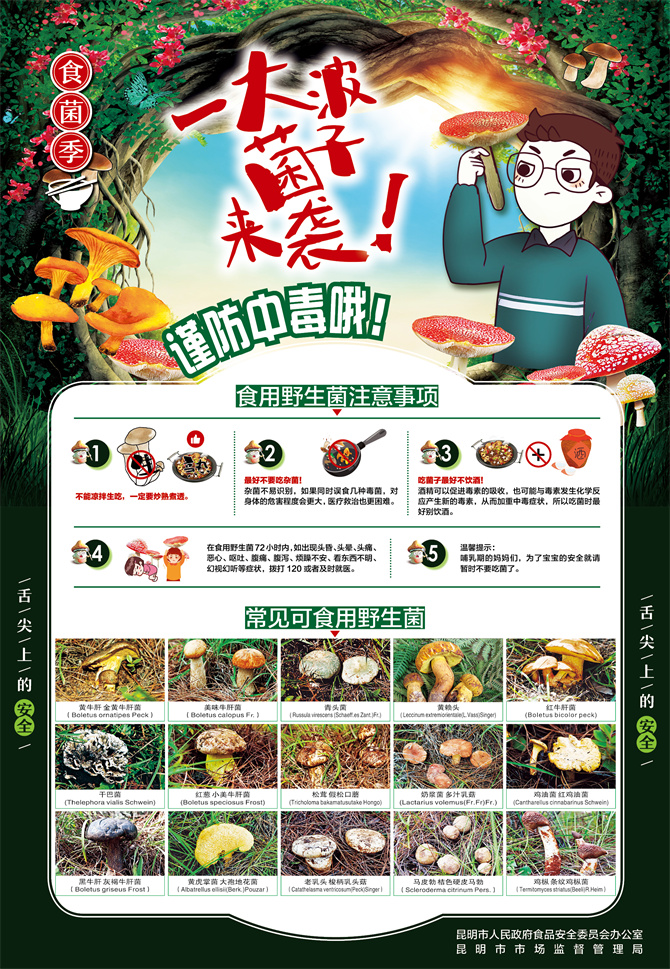 5.食用野生菌中毒防控宣传海报——食用野生菌注意事项