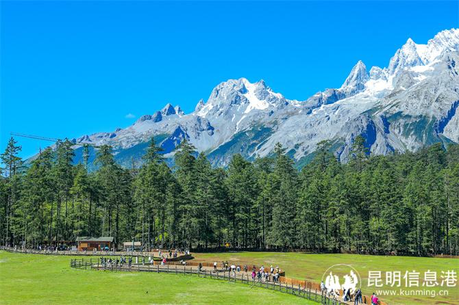 06_游客在玉龙雪山云杉坪游览