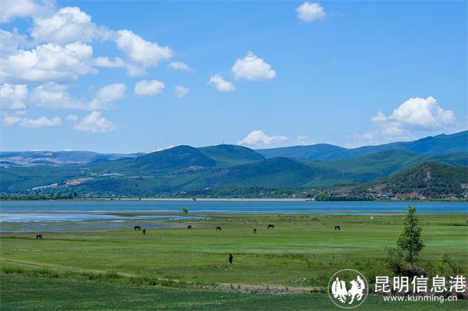 08拉市海湿地公园风光如画
