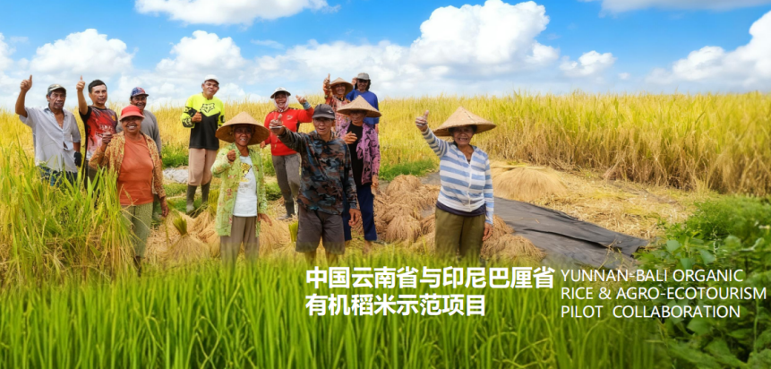 图片 8 图片 8