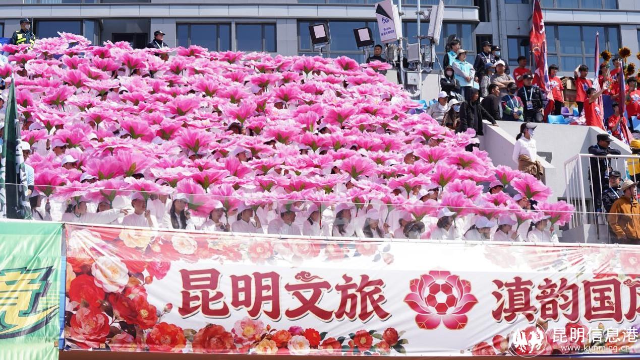 图片2 图片2