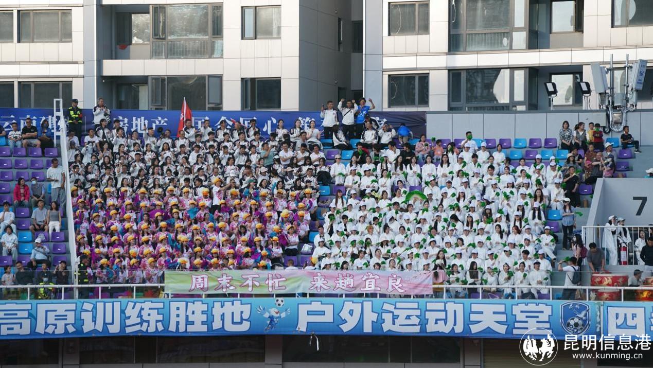 图片9 图片9