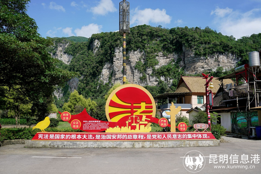 图片3