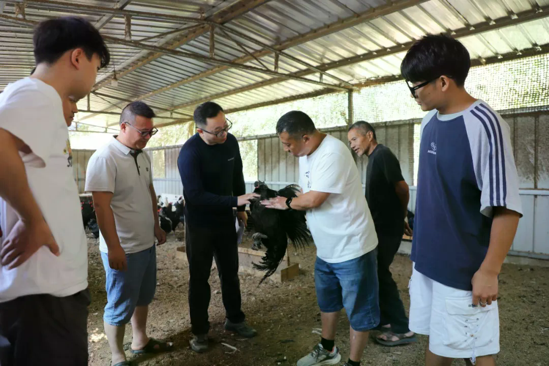 中国移动云南公司驻芭蕉村工作队员到智慧养殖点走访了解情况（2026.8.10张拯平摄）.JPG