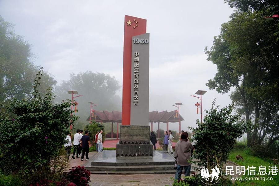 图片6