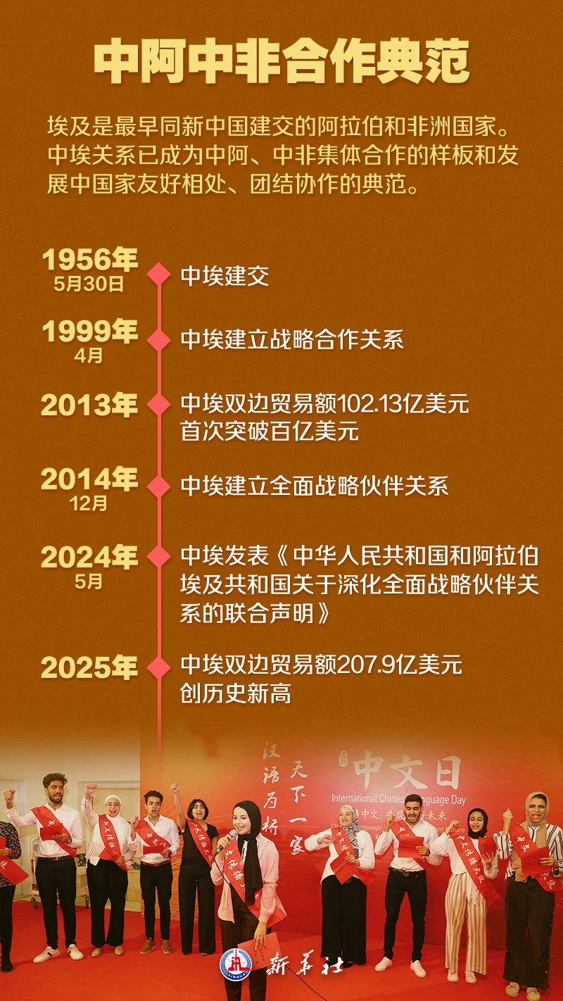 埃及10