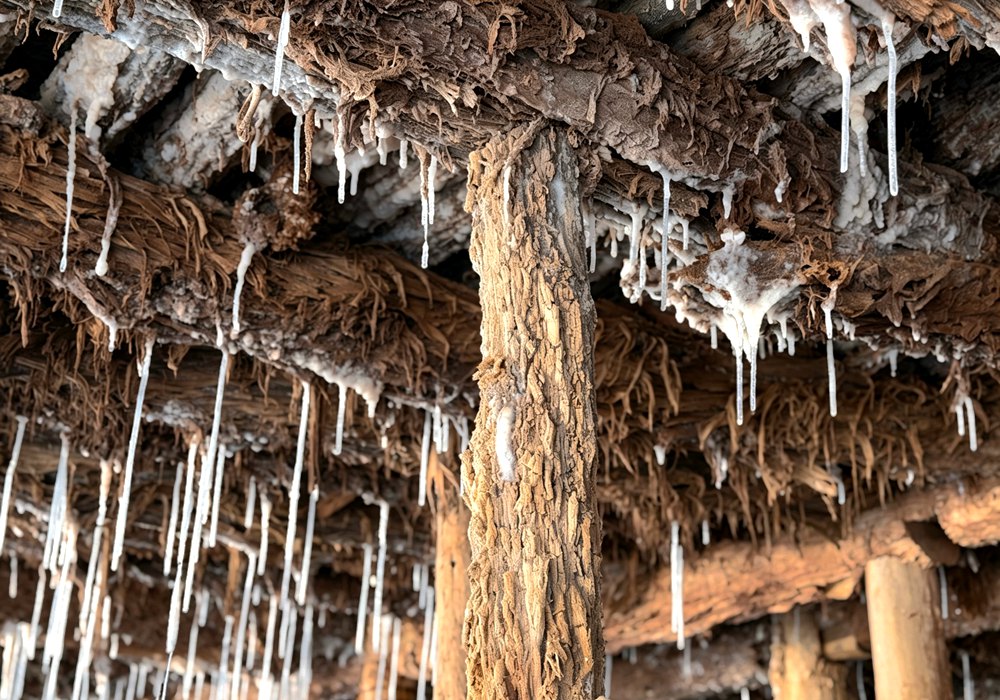 图为芒康古盐田木架下凝结天然盐晶。罗雨欣摄
