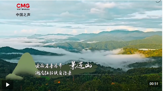图片1 图片1