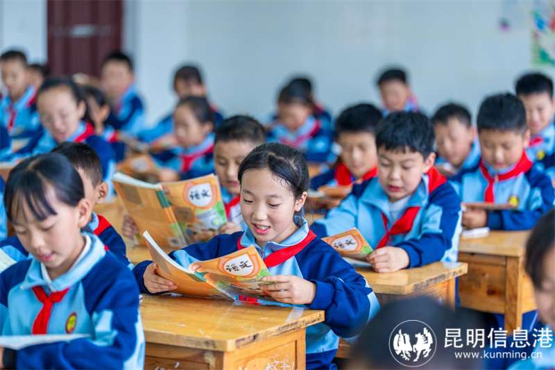 图片5 图片5