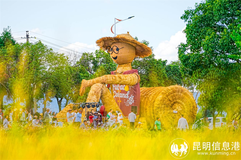 图片13 图片13