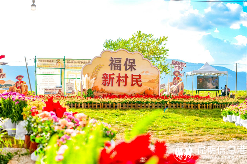 图片17 图片17