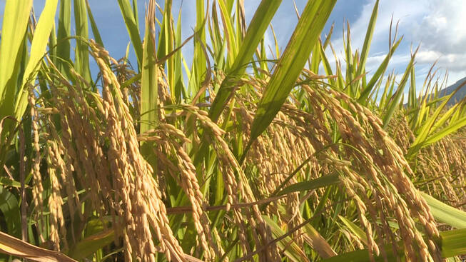 10月15日(5).png