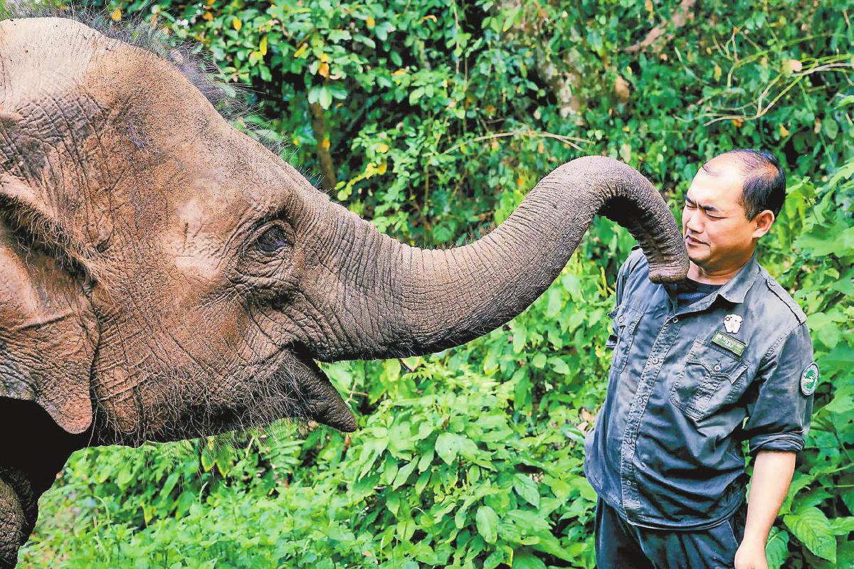 CmQ0YmrfyU-ARRz6AASa0YrFqxw191