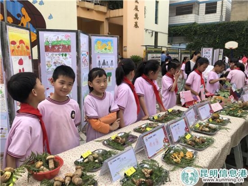 校园变身菌子集市