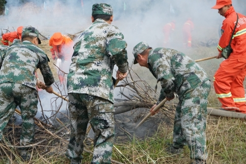 森林火灾应急演练