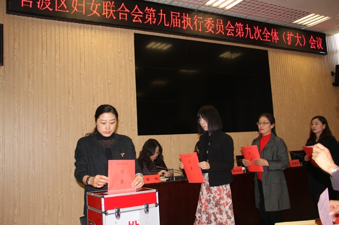 投票选举妇联常务委员、副主席_副本