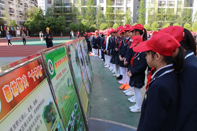 观看宣传展板 观看宣传展板