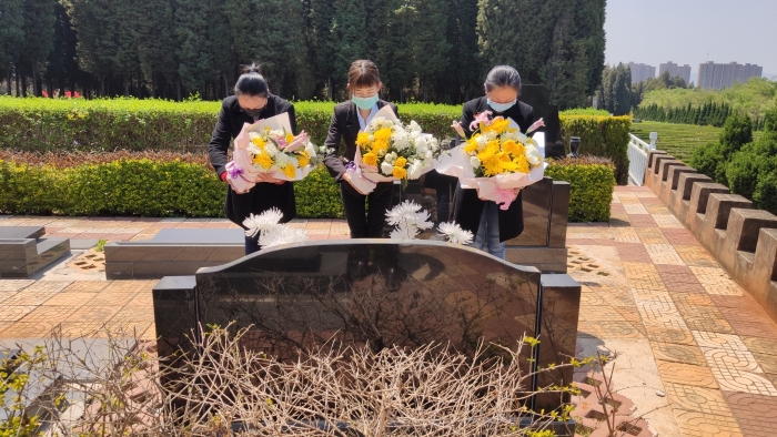 87ae4c9f26d0dfd17714572539cc21a