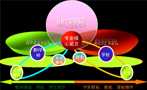 图片8_副本