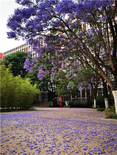 宿舍外