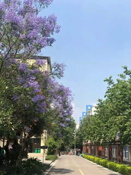 QQ截图20210225174537