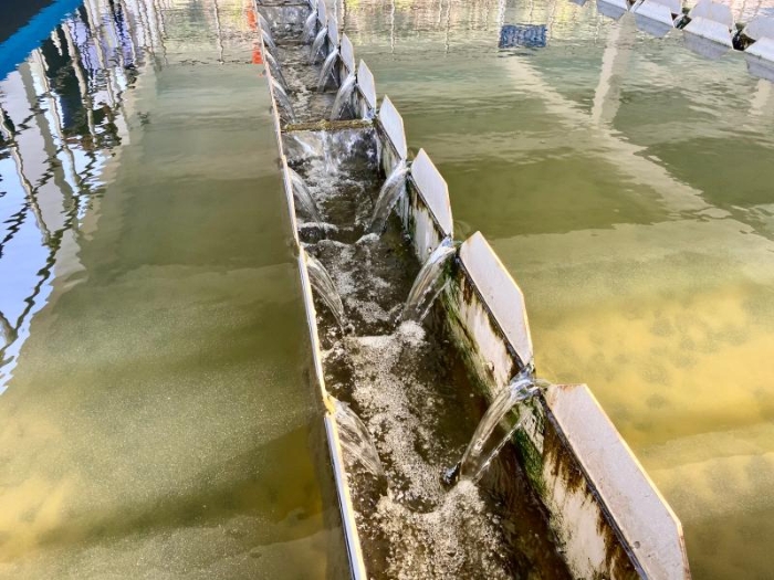 3c854118-99f5-4ca0-a3ce-a54b56c30566 3c854118-99f5-4ca0-a3ce-a54b56c30566