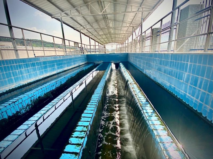 2b1fa2c7-9456-4aa1-a230-bf22bfd5fcb8 2b1fa2c7-9456-4aa1-a230-bf22bfd5fcb8